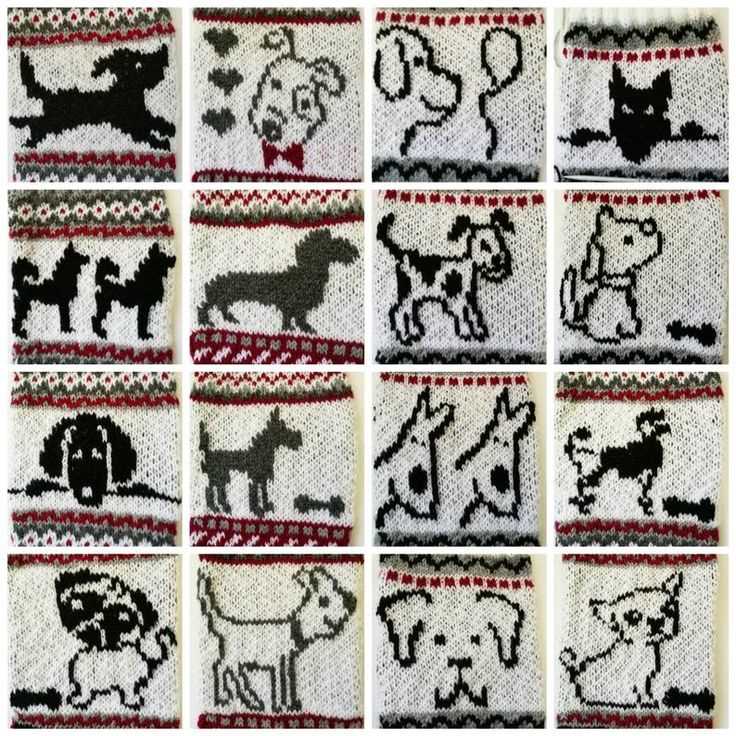 Knitting pattern for dog socks