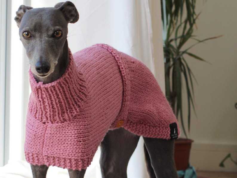 Whippet jumper knitting pattern