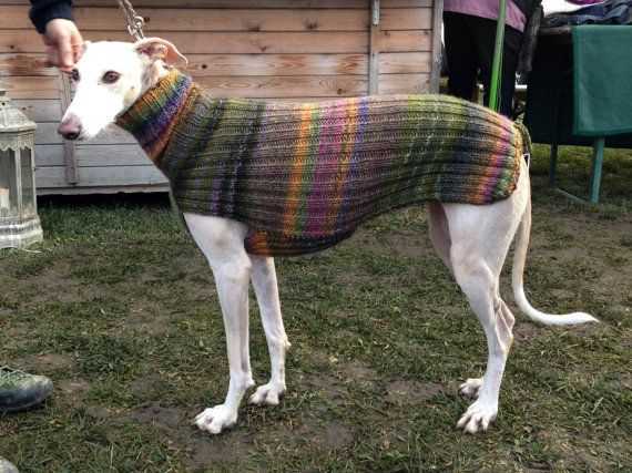 Whippet sweater knitting pattern