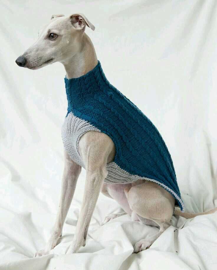 Whippet jumper knitting pattern