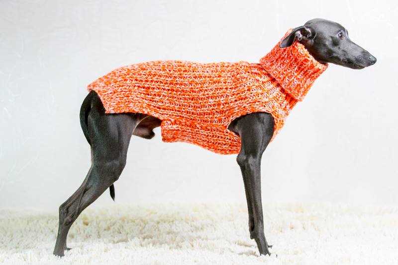 Whippet sweater knitting pattern