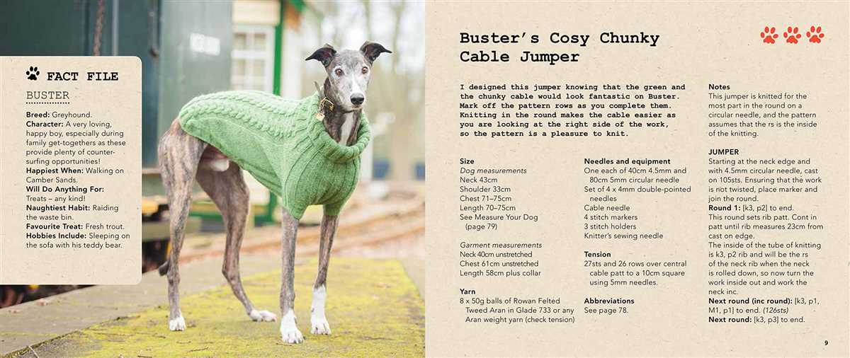 Whippet sweater knitting pattern