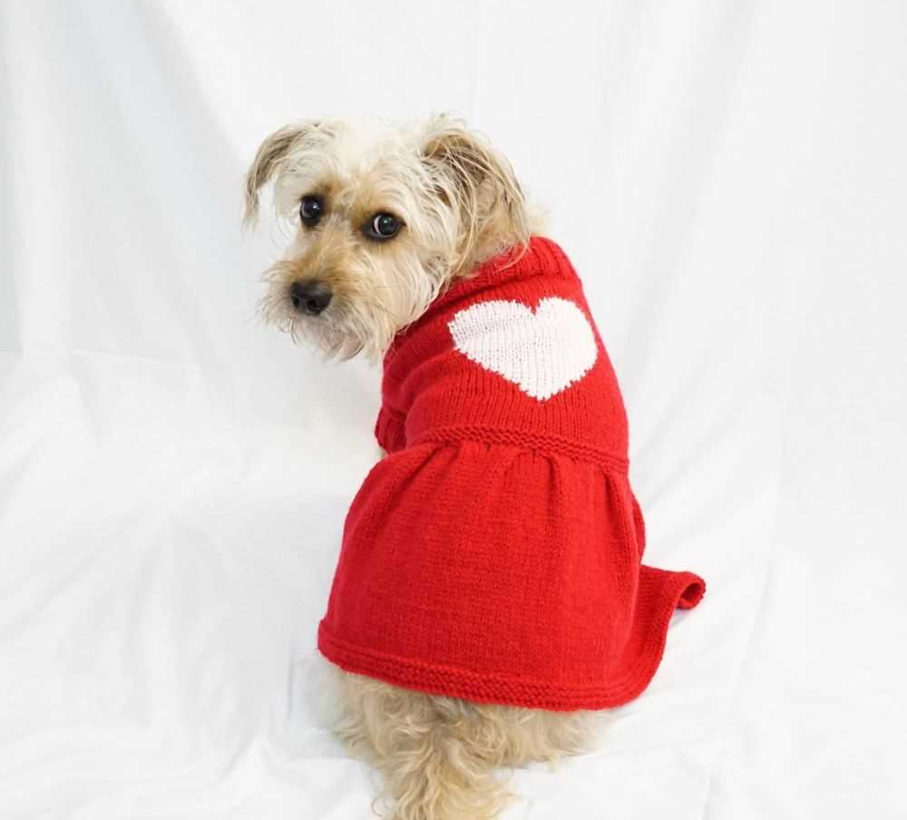 Dog knitting pattern