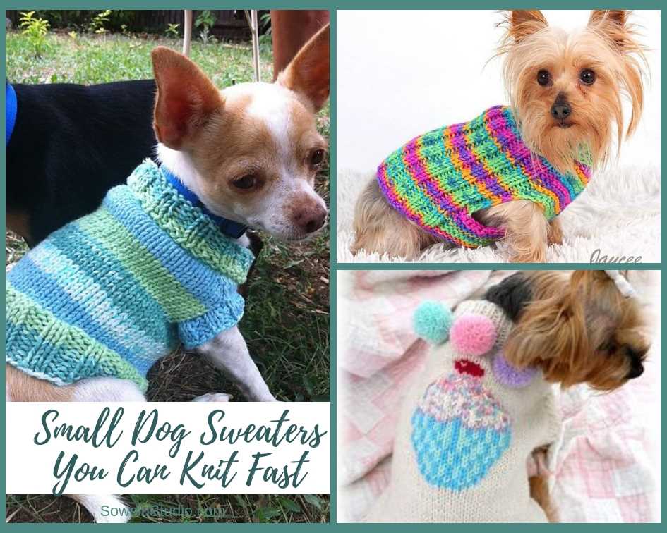 Dog sweaters to knit free patterns