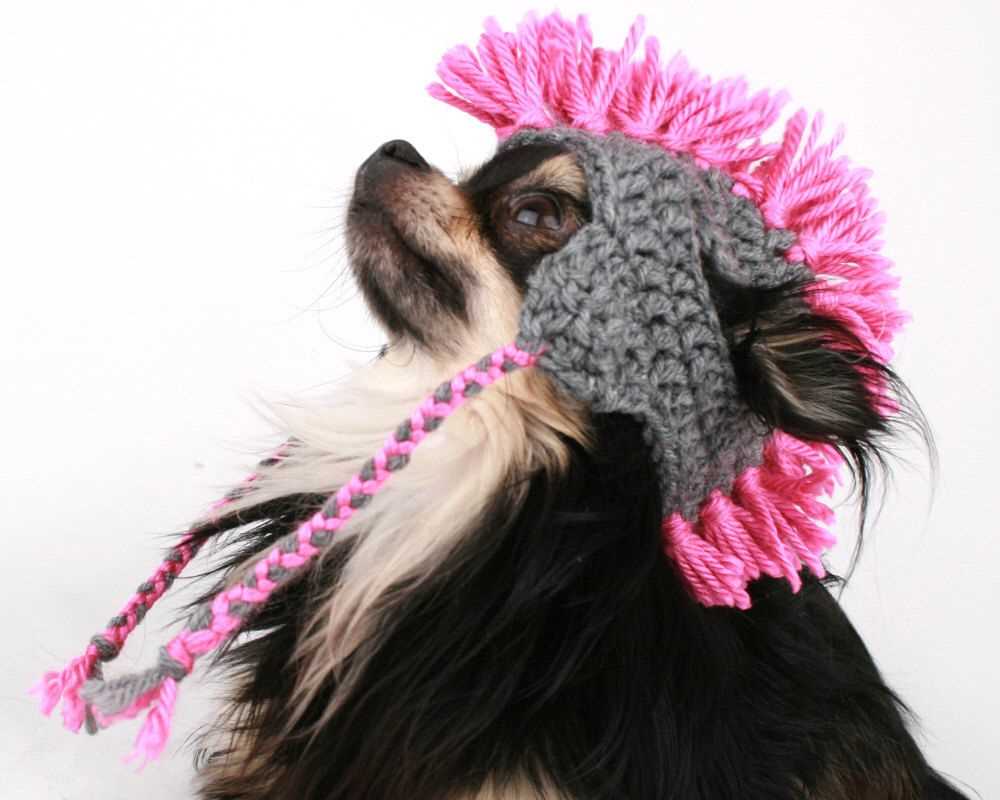 Free knitting pattern for dog hat with ear holes