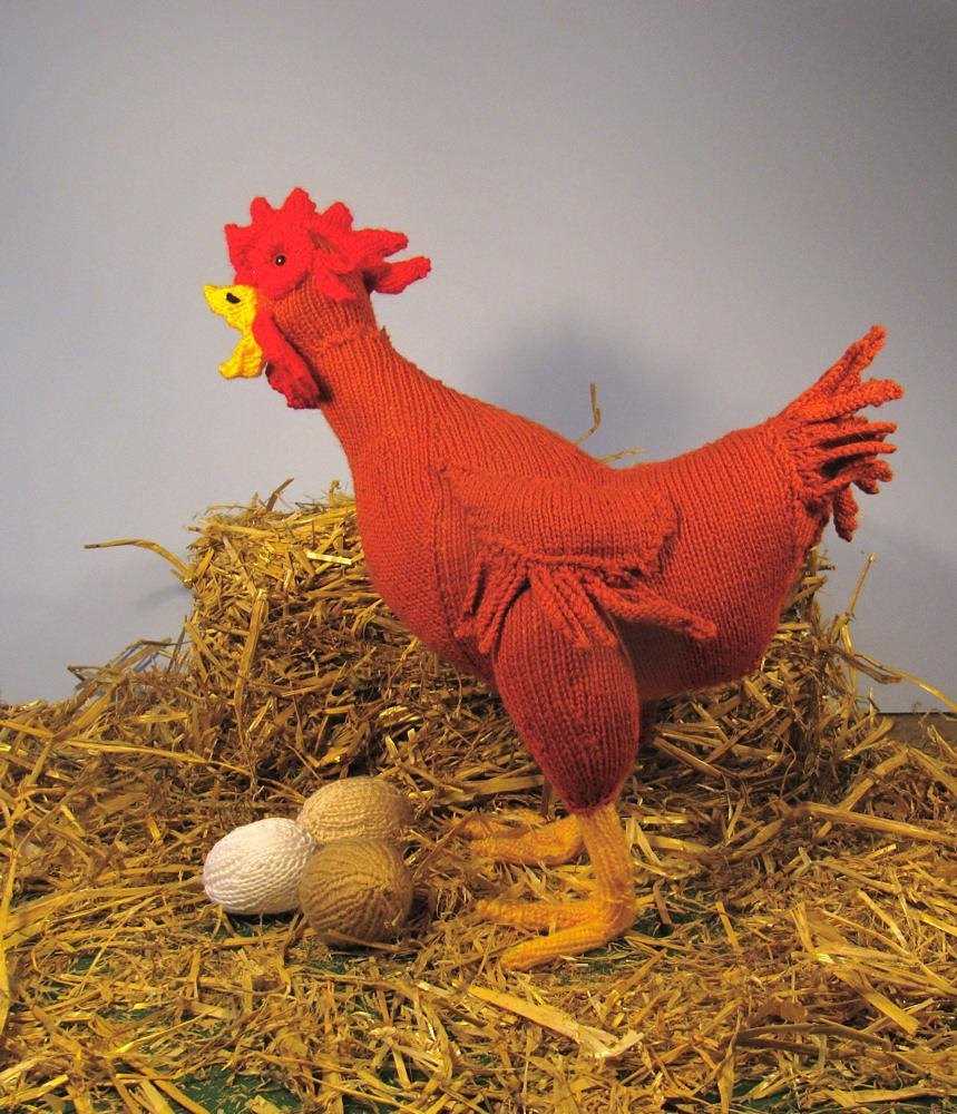 Chicken coats knitting patterns