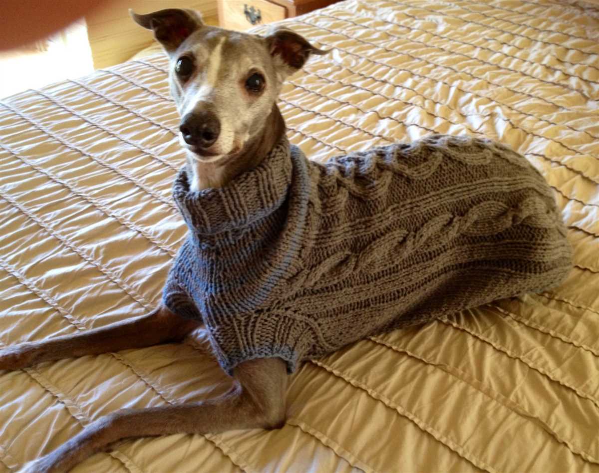 Greyhound knitting pattern coat