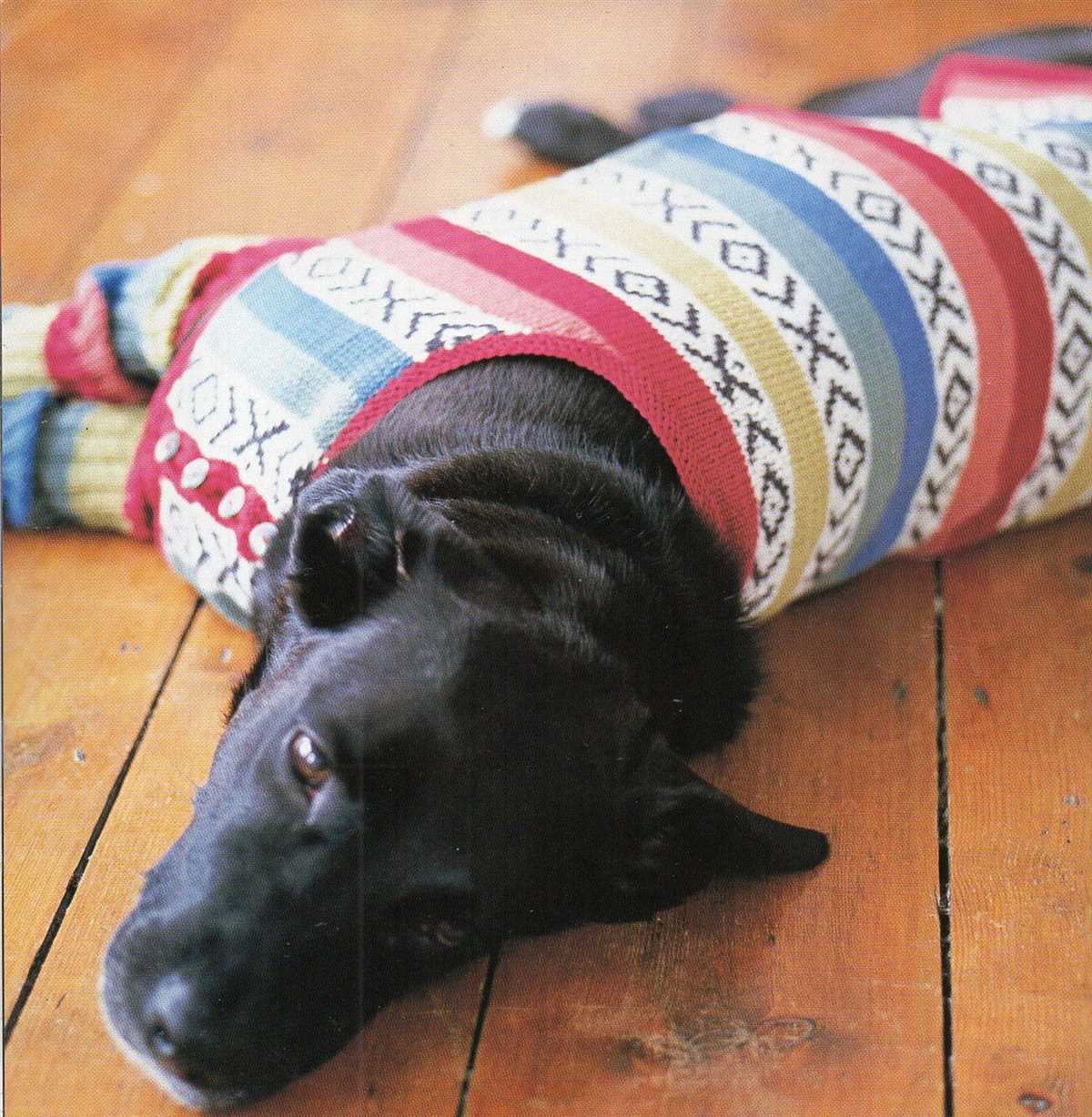 Xs dog sweater knitting pattern