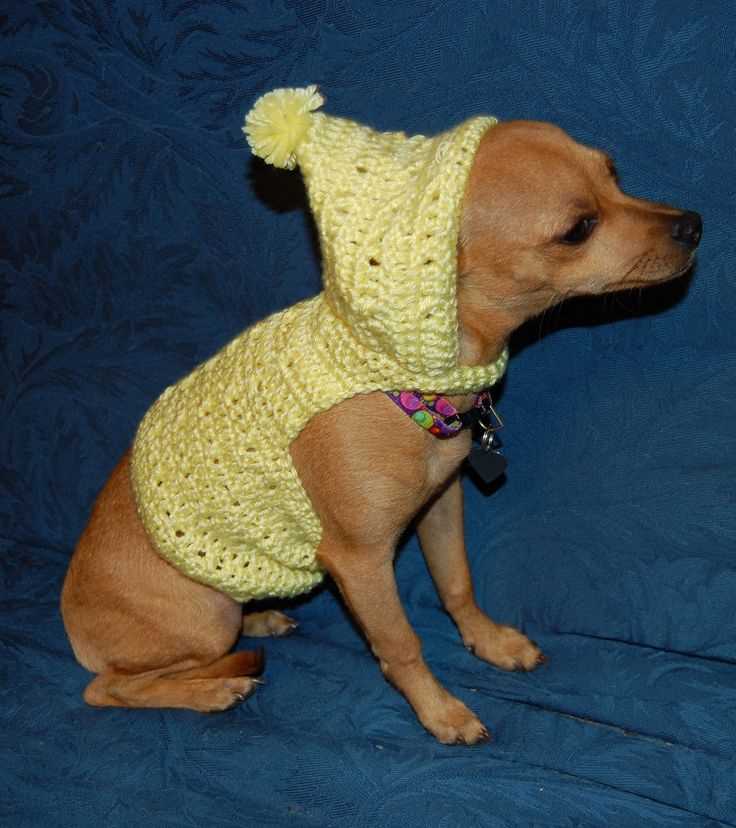 Xs dog sweater knitting pattern