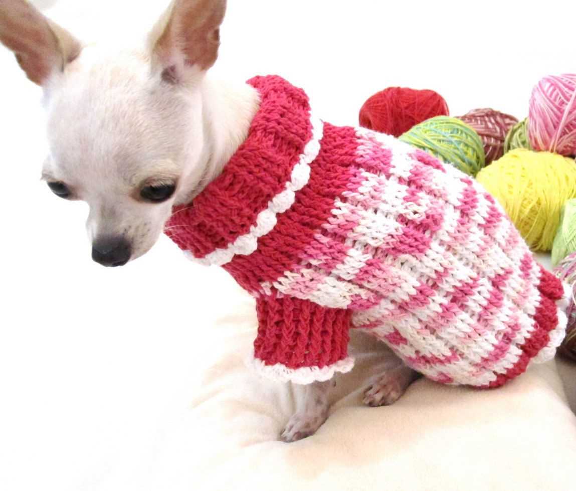Xs dog sweater knitting pattern