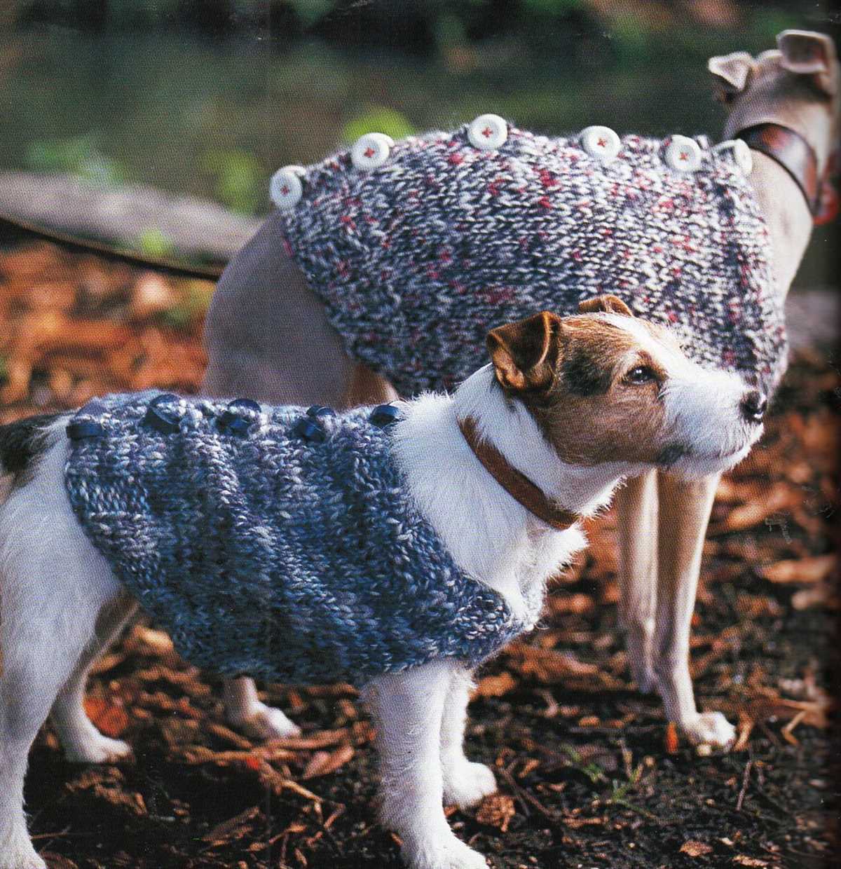 Xs dog sweater knitting pattern
