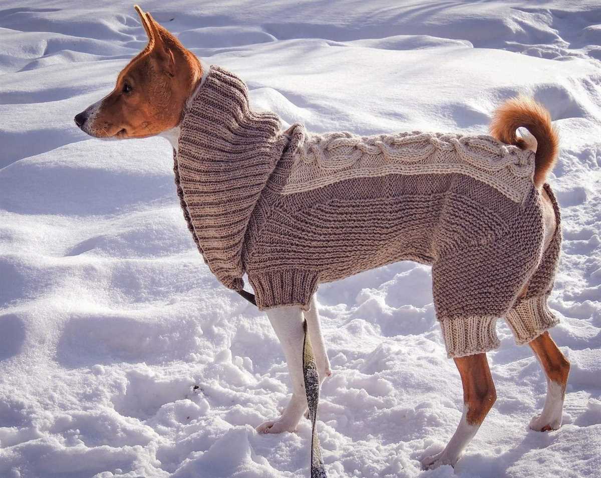 Xs dog sweater knitting pattern