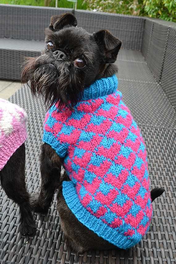 Knitting patterns for small dog sweaters