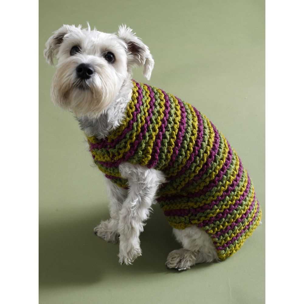 Dog clothes knitting patterns free