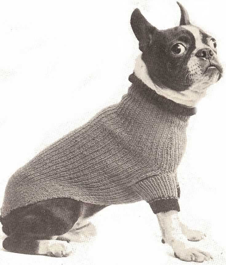 Bulldog knitting pattern free