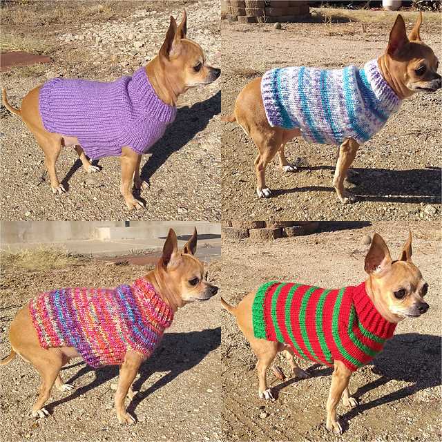 Knitted puppy sweater pattern