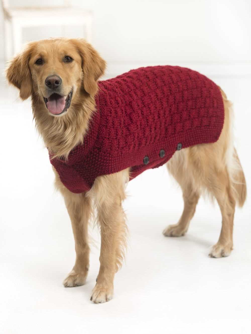Knitting patterns free for dogs